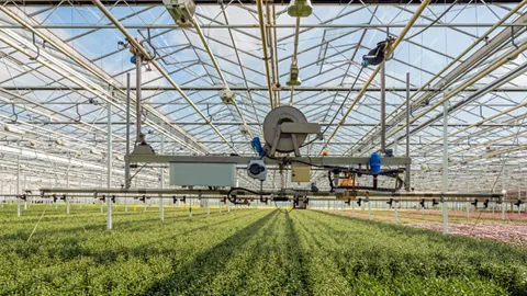 agriculture Liquid Ring Pump In Agriculture